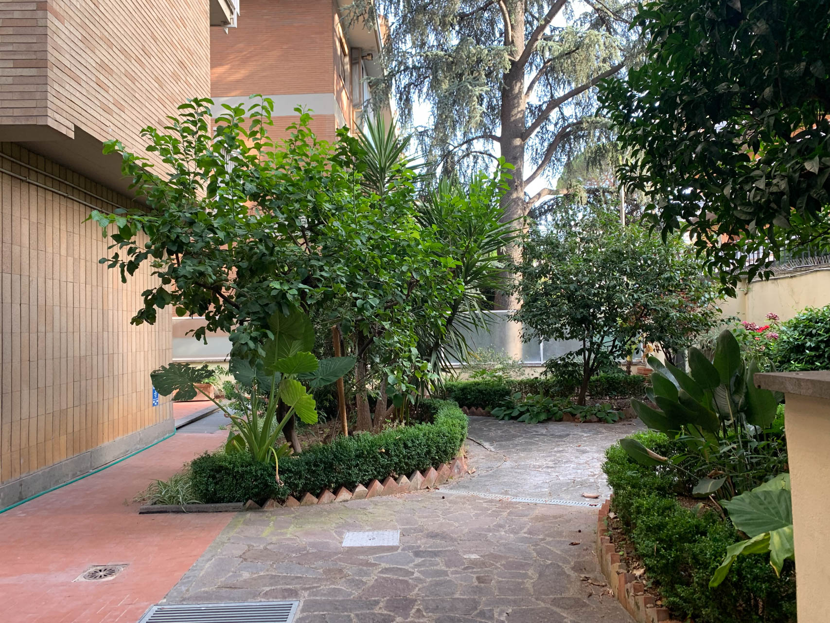 giardino e terrazzi 17