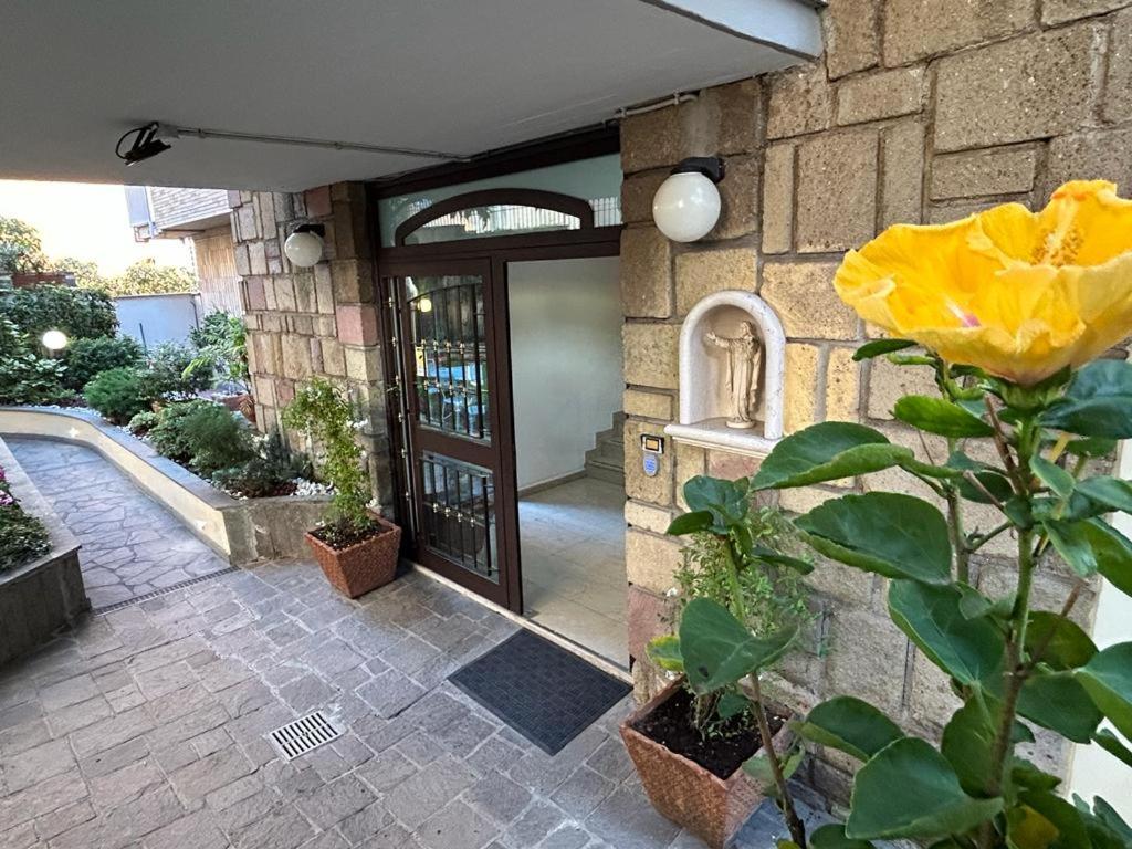 ingresso fiore giallo
