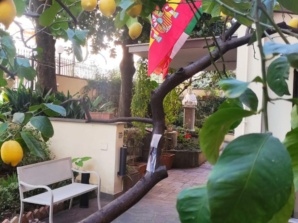 limone 2